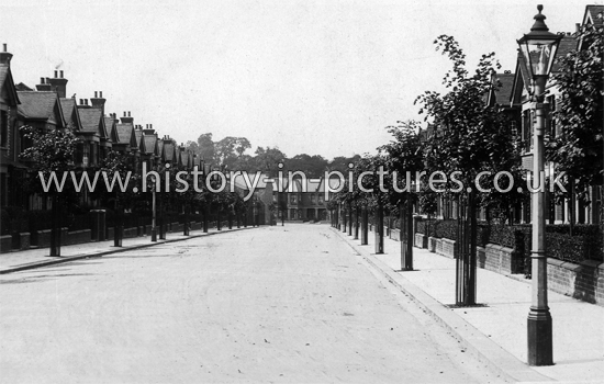 Clyde Road, Alexander Park, Wood Green, London. c.1912.